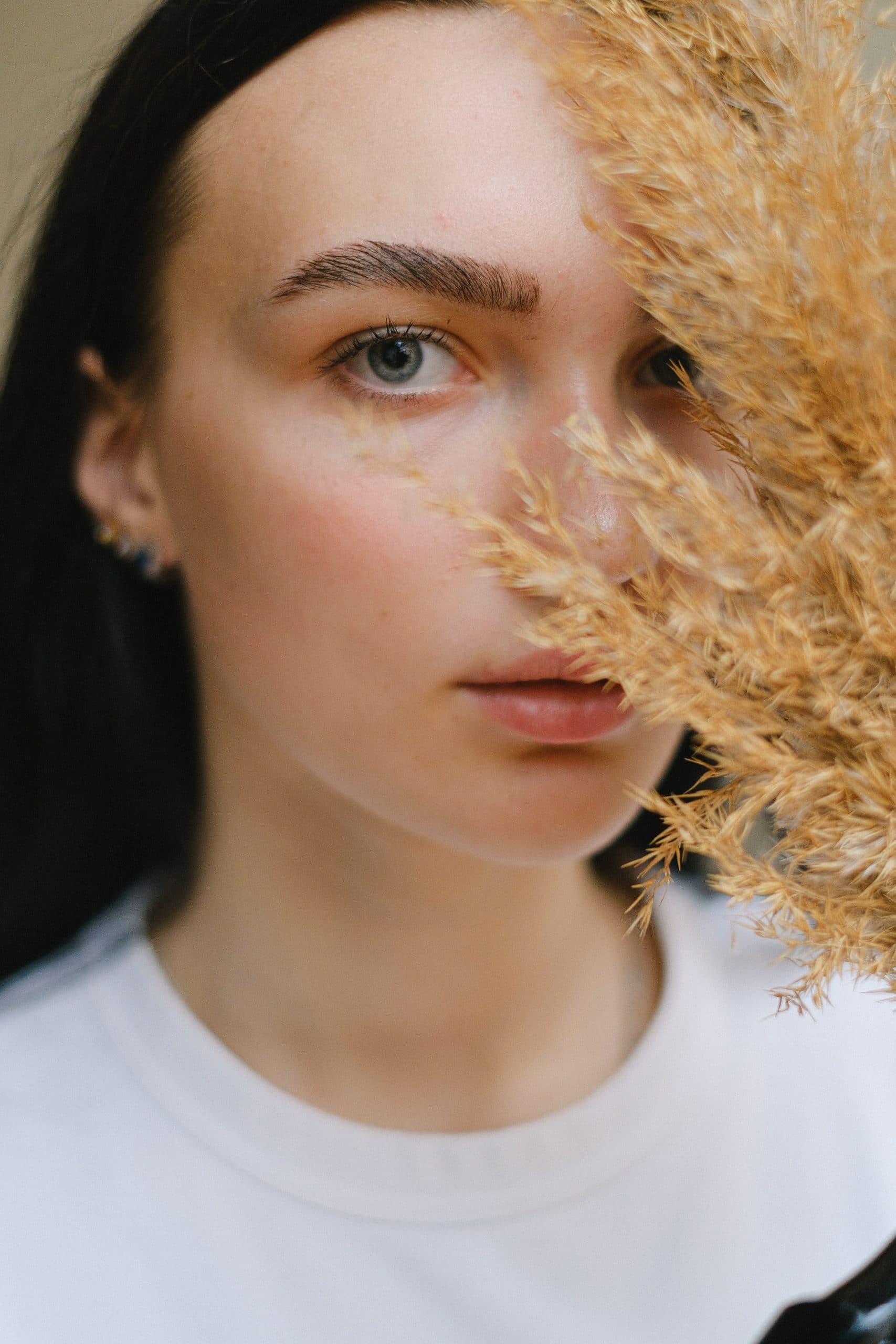 Read more about the article The Tiger, The Twins, and the Missing Caravel Chapter 1 is Live.