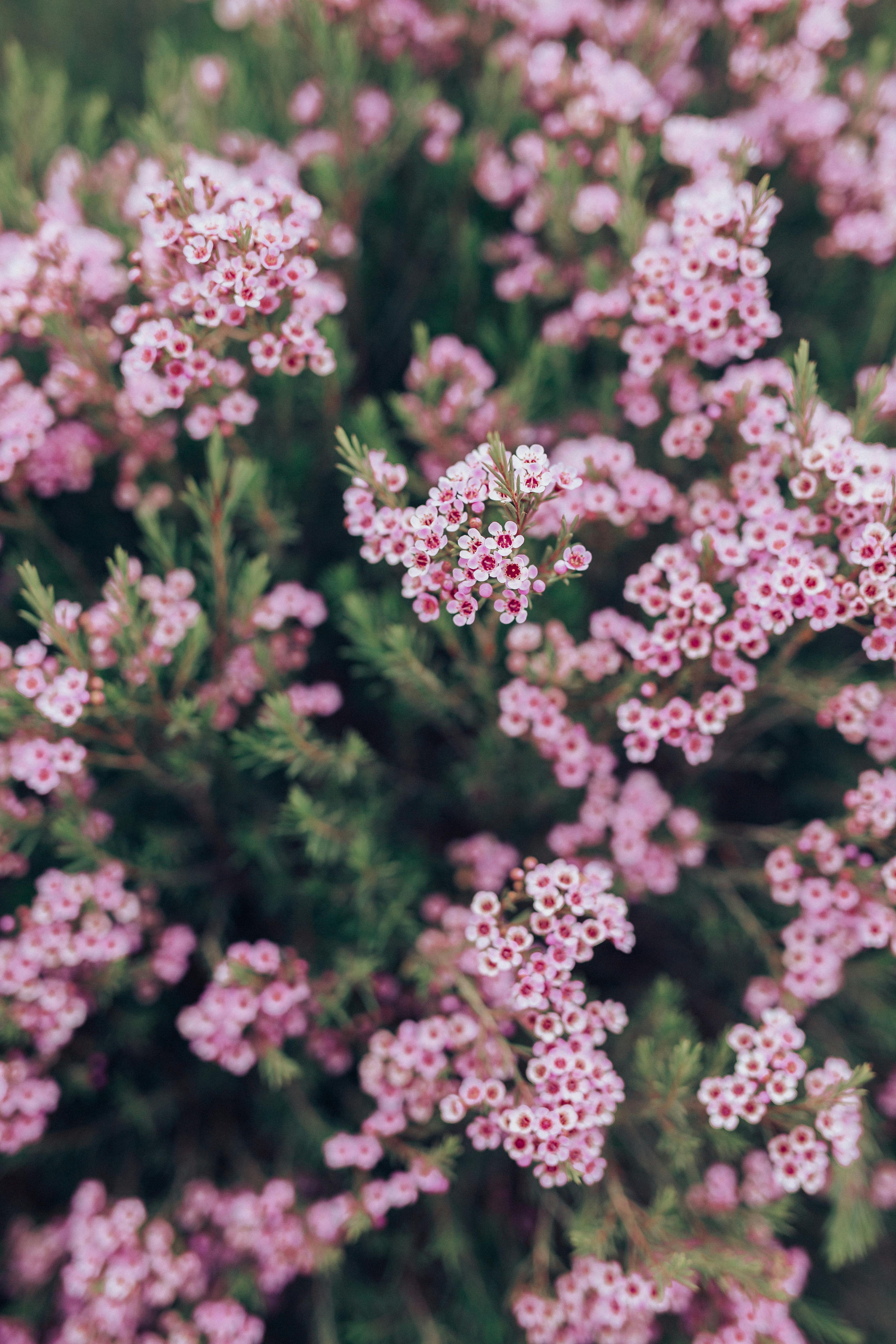 Read more about the article Heath Chapter 6 illustrated is live.